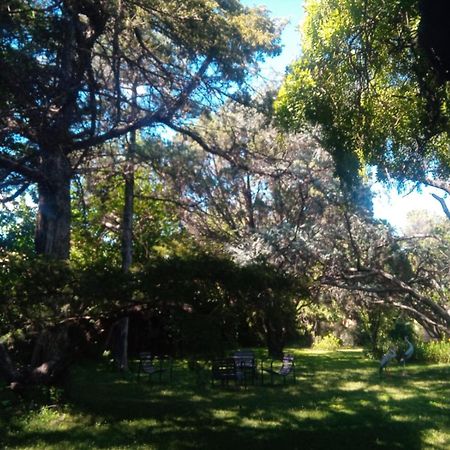 Cabana En Quinta La Aurora Мина Клаверо Екстериор снимка