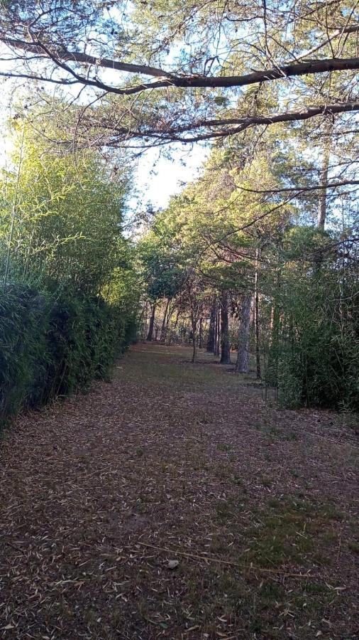 Cabana En Quinta La Aurora Мина Клаверо Екстериор снимка