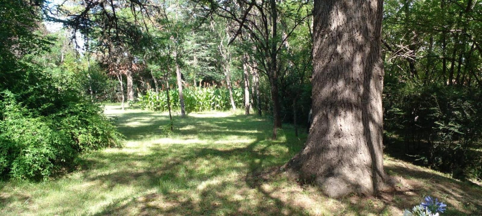 Cabana En Quinta La Aurora Мина Клаверо Екстериор снимка