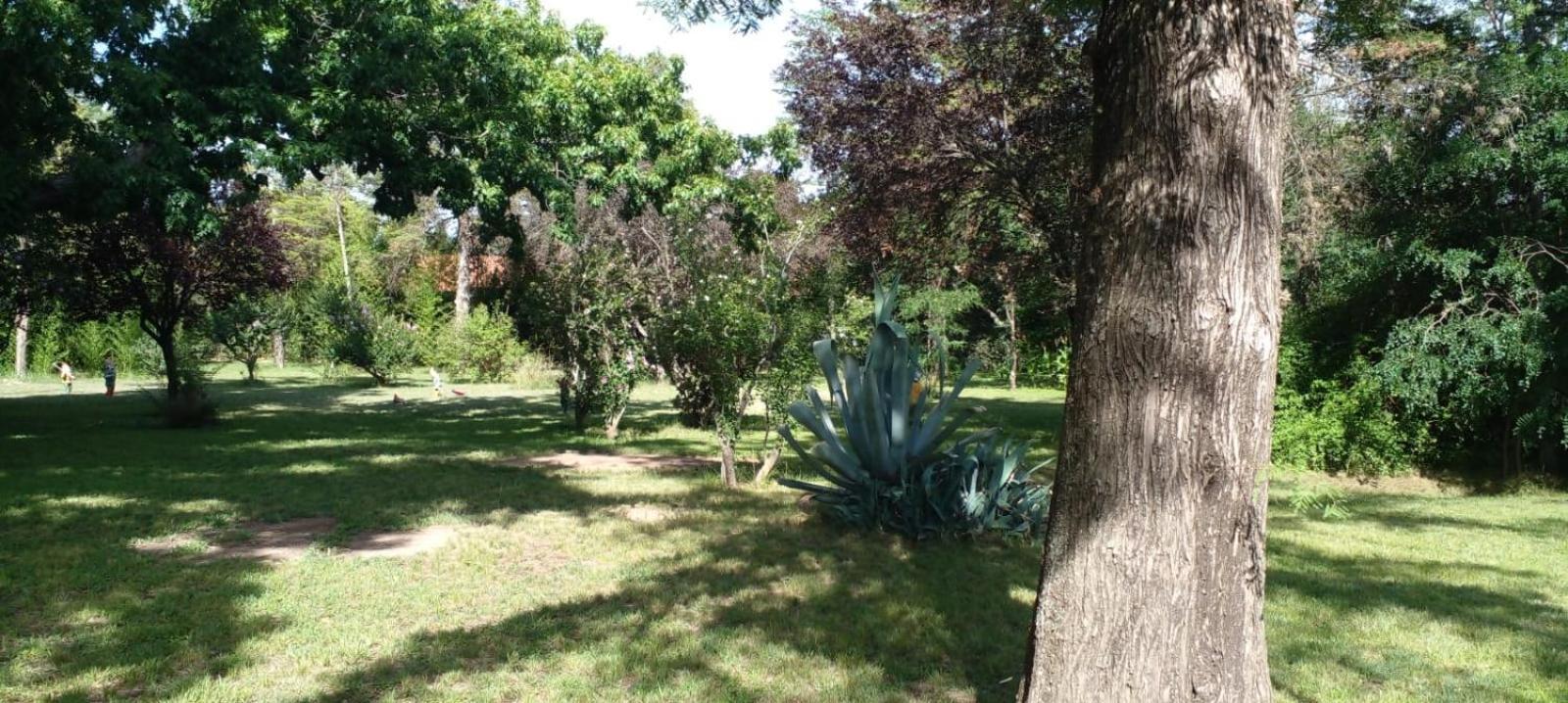 Cabana En Quinta La Aurora Мина Клаверо Екстериор снимка